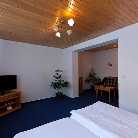 Linhart Poděbrady